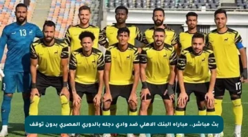 بث مباشر.. مباراة البنك الأهلي ضد وادي دجلة بالدوري المصري بدون توقف